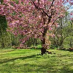 Aux Couleurs D'esteil 4*