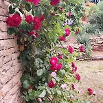 Aux Couleurs D'esteil Bed and breakfast