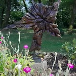 Aux Couleurs D'esteil Bed and breakfast