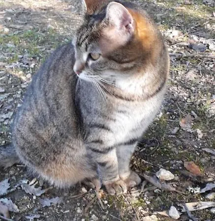 Aux Couleurs D'esteil Bed & Breakfast