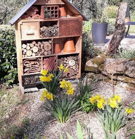 Bed & Breakfast Aux Couleurs D'esteil