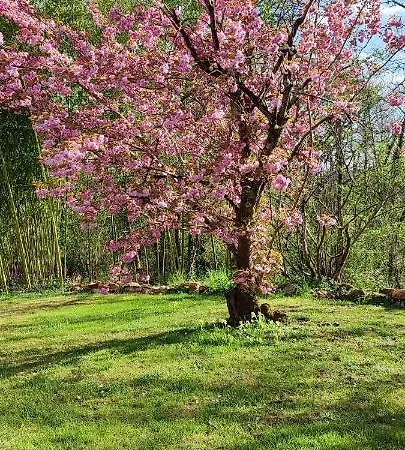 Aux Couleurs D'esteil 4*