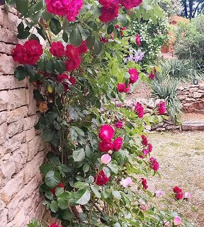 Aux Couleurs D'esteil Bed & Breakfast