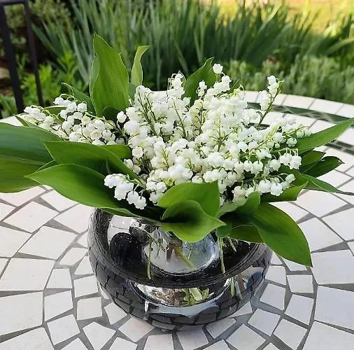 Bed & Breakfast Aux Couleurs D'esteil Sainte-Nathalène