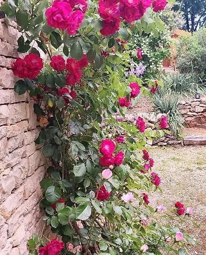 Aux Couleurs D'esteil Bed & Breakfast